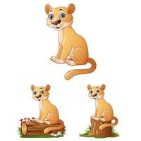 Cartoon lioness on log collections set vector