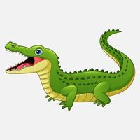 Cartoon crocodile isolated on white background vector