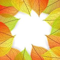 Background of stylized autumn leaves vector