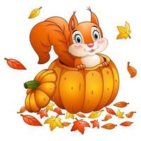 Cute squirrel in a pumpkin vector