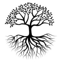 Tree silhouette with root vector