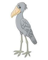 personaje de dibujos animados shoebill vector