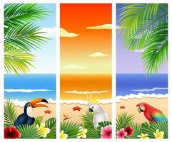 conjunto de tres fondo de playa tropical vector