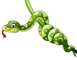 Cartoon green snake on vine vector