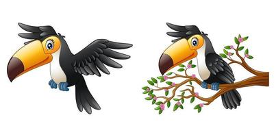 Vector illustration of Cartoon funny toucan collections