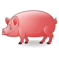 Cartoon adult pig vector