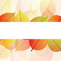 Background of stylized autumn leaves vector