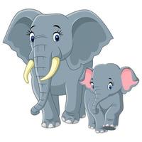 Baby and Mother Elephant vector