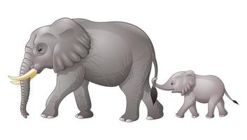 Baby and Mother Elephant vector