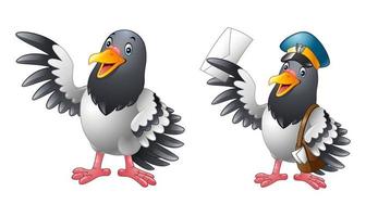 Cartoon funny Pigeon bird collections vector