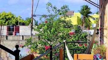 Terrace and balcony with tropical nature Playa del Carmen Mexico. video