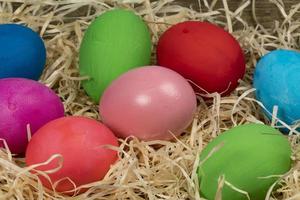 Colorful eggs symbolizing Easter photo