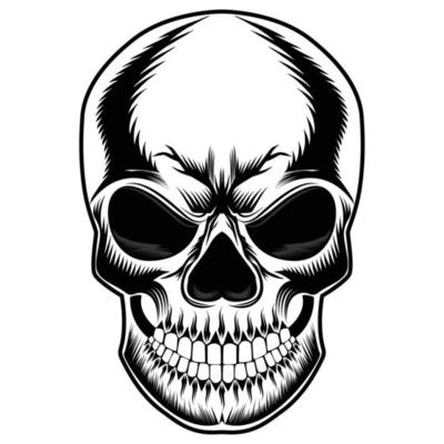 Skull head drawing Free Vector