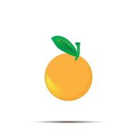vector illustration of citrus fruit on a white background.