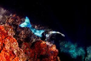 sirena nadando bajo el agua en el mar azul profundo foto