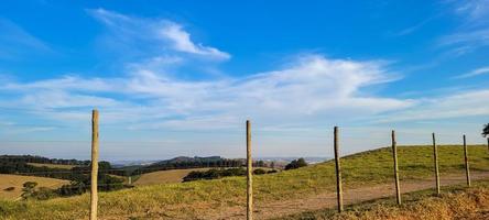 rural nature landscape in the interior of Brazil in a eucalyptus farm in the middle of nature photo