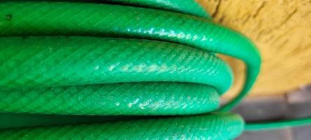 green garden hose rolled up in yard on a sunny day photo