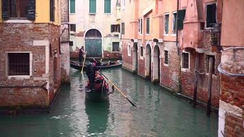 turismo nel Italia, un' gondola cavalcata nel Venezia video