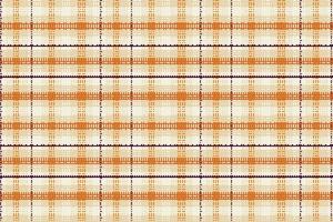 Tartan or plaid vintage color pattern. vector