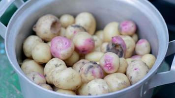 roestvrij staal pan met rauw nieuw aardappelen. aardappelen niet geschild. detailopname van vers geoogst biologisch aardappelen met geel en rood huiden. oogsten. video