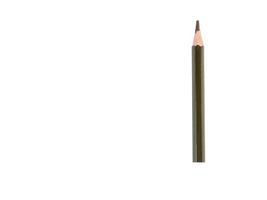 Colored pencil on a white background. Brown short pencil made of wood. photo