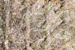 Detailed close up view on dry agricultural grounds and acre in high resolution photo