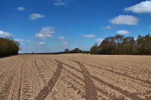 View of an agriculturally used field with green grass. photo