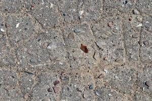 Detailed view on asphalt surfaces of different streets and roads with cracks photo