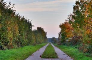 vista de un campo usado agrícolamente con hierba verde. foto