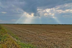 vista de un campo usado agrícolamente con hierba verde. foto