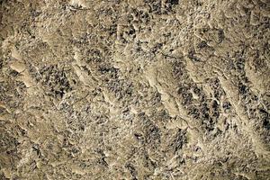 Detailed close up view on dry agricultural grounds and acre in high resolution photo