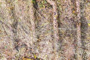 Detailed close up view on dry agricultural grounds and acre in high resolution photo