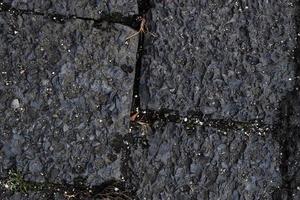 Detailed view on asphalt surfaces of different streets and roads with cracks photo