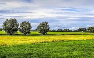 View of an agriculturally used field with green grass. photo