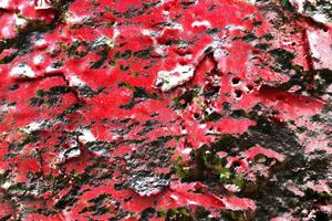 Texture of colorful graffiti paint on conrete and brick walls in red blue purple and silver photo