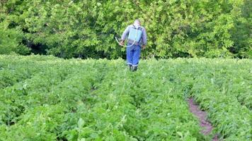 um agricultor aplicando inseticidas em sua plantação de batatas. o uso de produtos químicos na agricultura. luta contra infecções fúngicas e insetos. um homem pulveriza pesticidas em uma plantação de batatas com um pulverizador manual. video