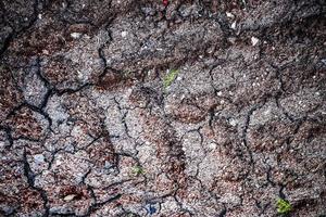 Detailed close up view on dry agricultural grounds and acre in high resolution photo