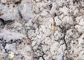 Detailed close up view on dry agricultural grounds and acre in high resolution photo