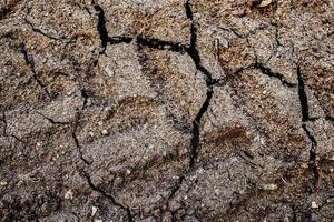 Detailed close up view on dry agricultural grounds and acre in high resolution photo