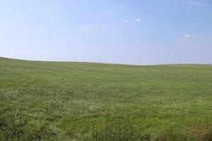View of an agriculturally used field with green grass. photo
