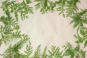 Green thuja tree branches frame on beige rustic background. photo