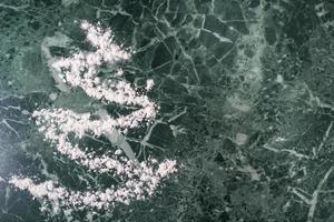 top view of the fir tree made of flour, looks like snow photo