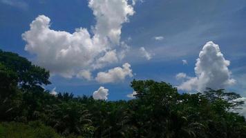la atmósfera del cielo despejado sobre la plantación de palma aceitera. foto