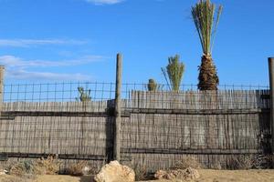 Fence in the city park on the shores of the Mediterranean Sea. photo