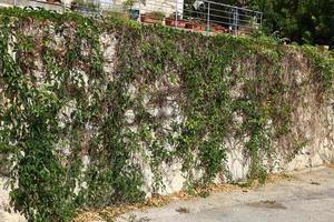 Fence in the city park on the shores of the Mediterranean Sea. photo