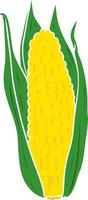 flat color style cartoon organic corn vector