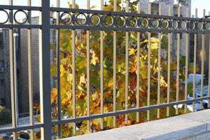 Fence in the city park on the shores of the Mediterranean Sea. photo