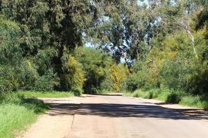 Highway in Israel from north to south photo