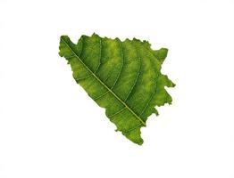 Bosnia and Herzegovina map made of green leaves on soil background ecology concept photo