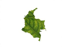 mapa de colombia hecho de hojas verdes sobre el concepto de ecología de fondo del suelo foto